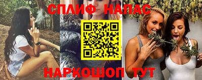 МДПВ Краснодар