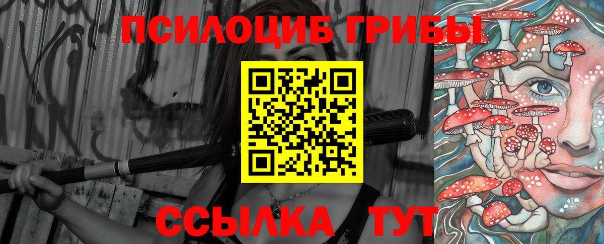 Псилоцибиновые грибы Psilocybe  Псилоцибиновые грибы GOLDEN TEACHER  Донецк  Вход с VPN 